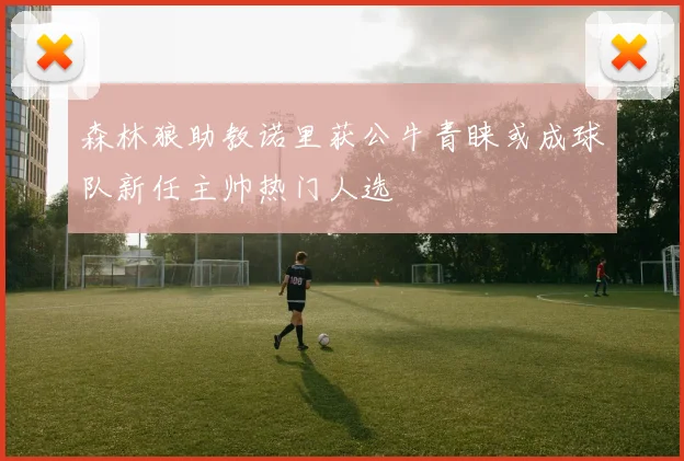 森林狼助教诺里获公牛青睐或成球队新任主帅热门人选